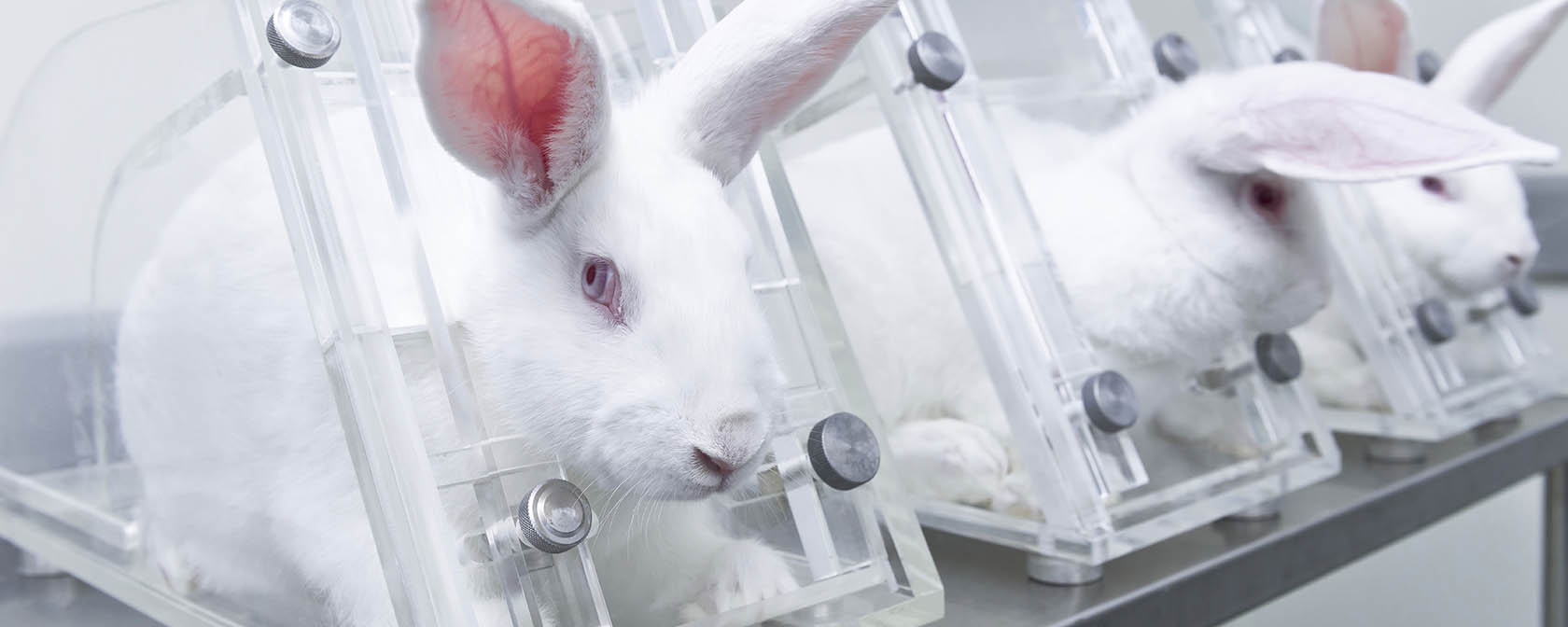 Virginia, Maryland and New Jersey among states moving rapidly to end  cosmetics testing | HSLF