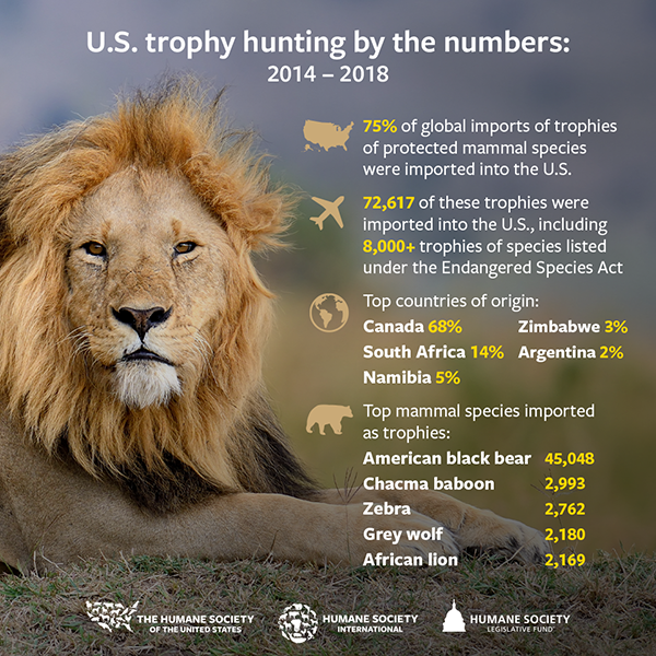 U.S. trophy hunting by the numbers